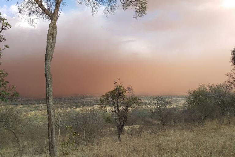 A cloud of dust over a hill with trees in the background.