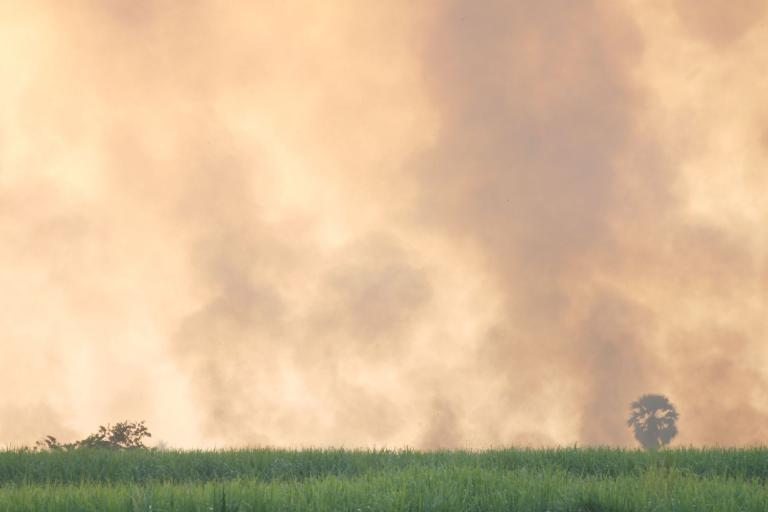 Dense smoke billows into the sky above a field with sparse vegetation.