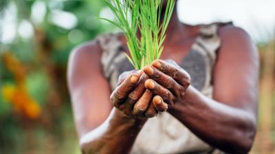 A woman is holding a green plant in her hands.