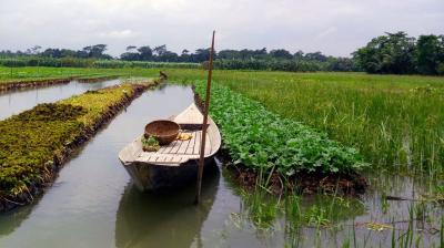 A wooden boat with a basket on board floats in a narrow water channel between green agricultural fields under a cloudy sky.