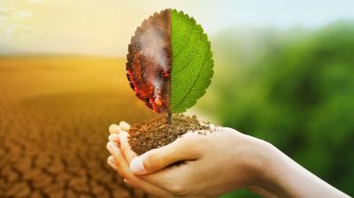 Hands holding a half-burnt, half-healthy leaf growing from soil. The background shows a contrast between dry, cracked earth and lush greenery, symbolizing environmental change.