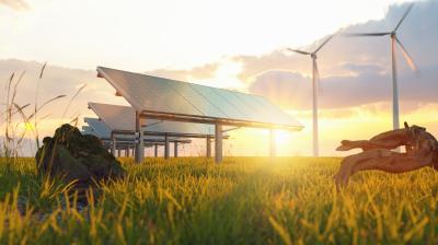 Solar panels in a grassy field with wind turbines in the background during sunset.